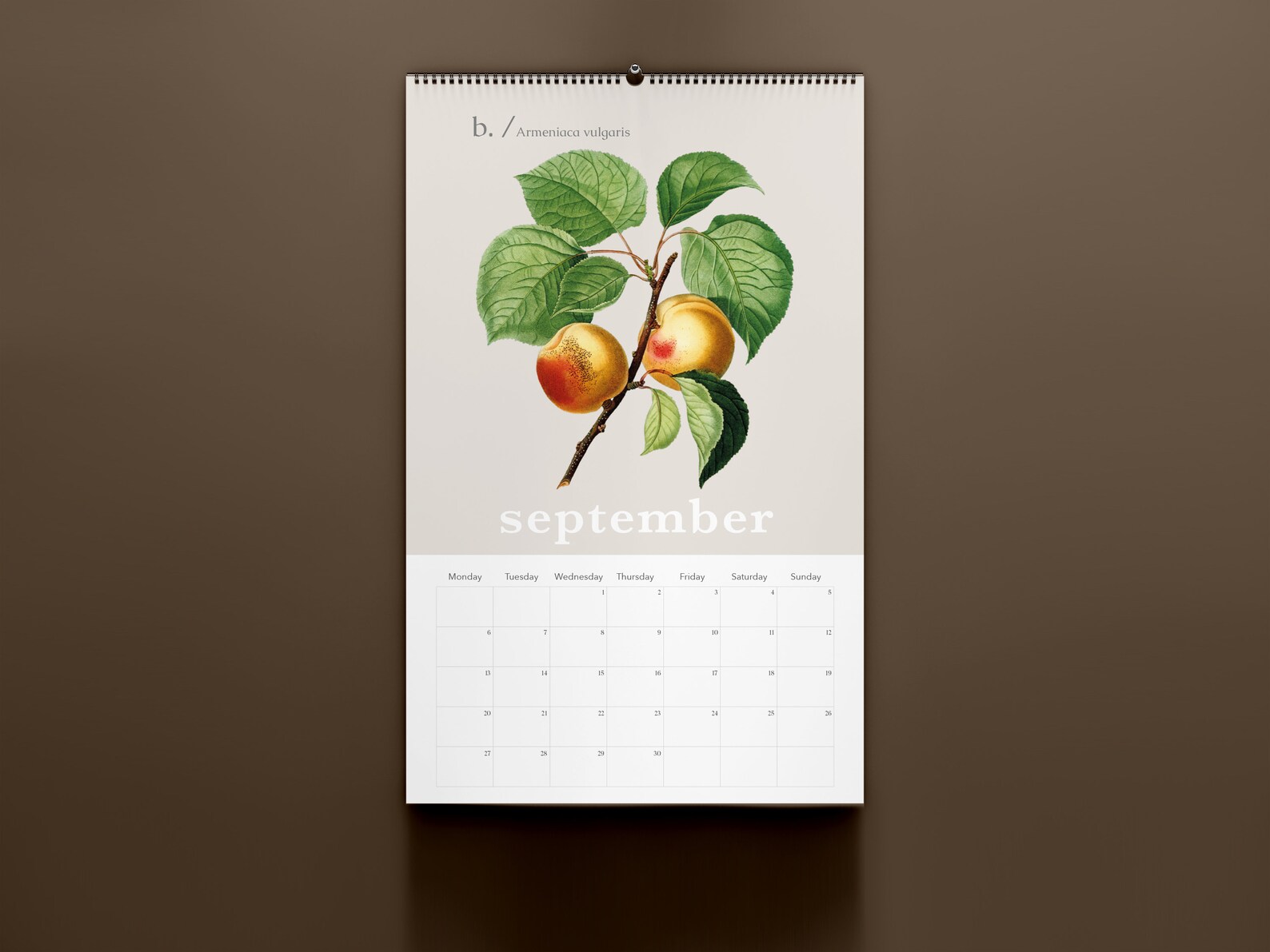 2021 wall planner. Vintage botanical calendar. Practical | Etsy