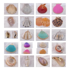 Könnte beinhalten: Eine Sammlung von vierundzwanzig Muschel-Anhängern in verschiedenen Formen, Farben und Ausführungen. Das Sortiment umfasst gold- und silberfarbene Muscheln, leuchtende pinke, türkise und violette Designs, Leopardenmuster sowie natürliche Spiralmuscheln.