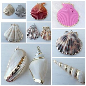 Könnte beinhalten: Sortiment von Muscheln mit goldenen Verzierungen. Die Muscheln sind in verschiedenen Farben und Formen, darunter weiß, rosa, rot und braun. Einige Muscheln haben eine Perlmutt-Oberfläche. Die Muscheln sind perfekt zum Basteln, für die Schmuckherstellung oder zur Dekoration des Hauses.