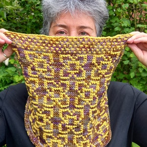 Tunisian Crochet pattern, Simple Mosaic crochet, Harlyn Cowl, crochet cowl neck, PDF pattern, Crochet scarf pattern, crochet snood pattern