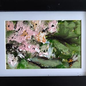 Cherry Blossoms