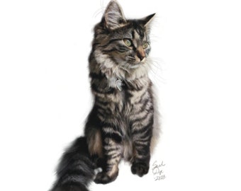 Freya the Fancy Cat Art Print