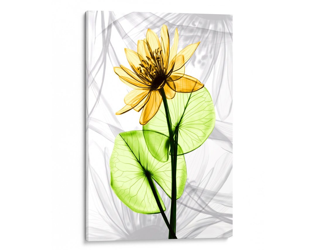 Intalence Art Yellow Xray Flowers Wall Art Decor Modern Floral Canvas