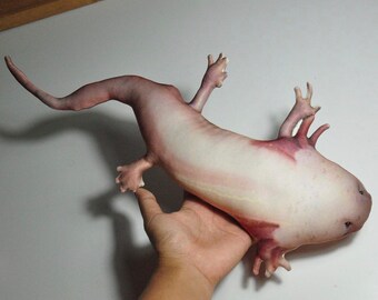 Axolotl Doll Etsy Axolotl Doll Etsy