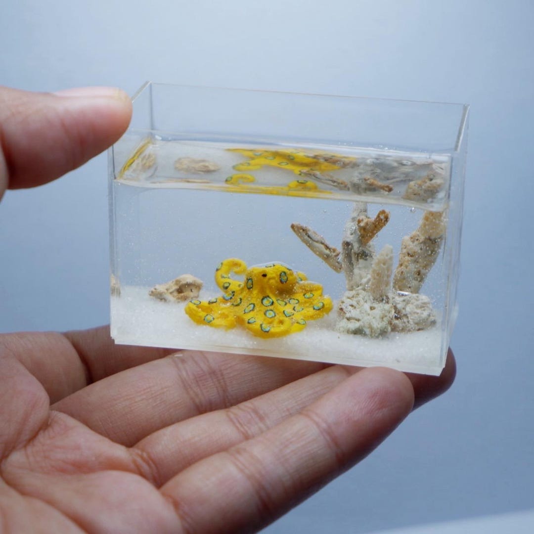 Mini Blue Ringed Octopus Miniature Blue-ringed Octopus in the Tank - Etsy