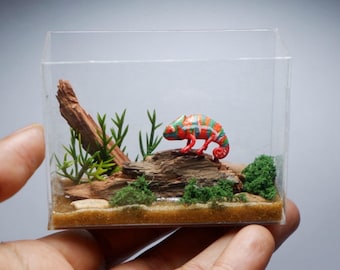 Miniature clay chameleon in terrarium
