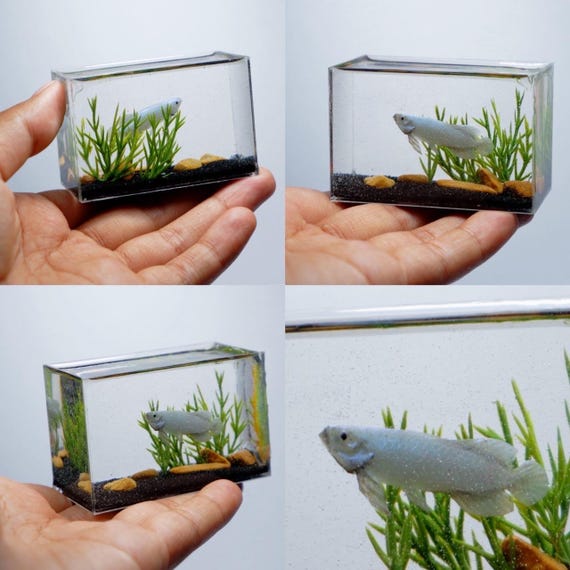 暗闇で光るミニチュアシルバーアロワナ水槽 - Etsy 日本