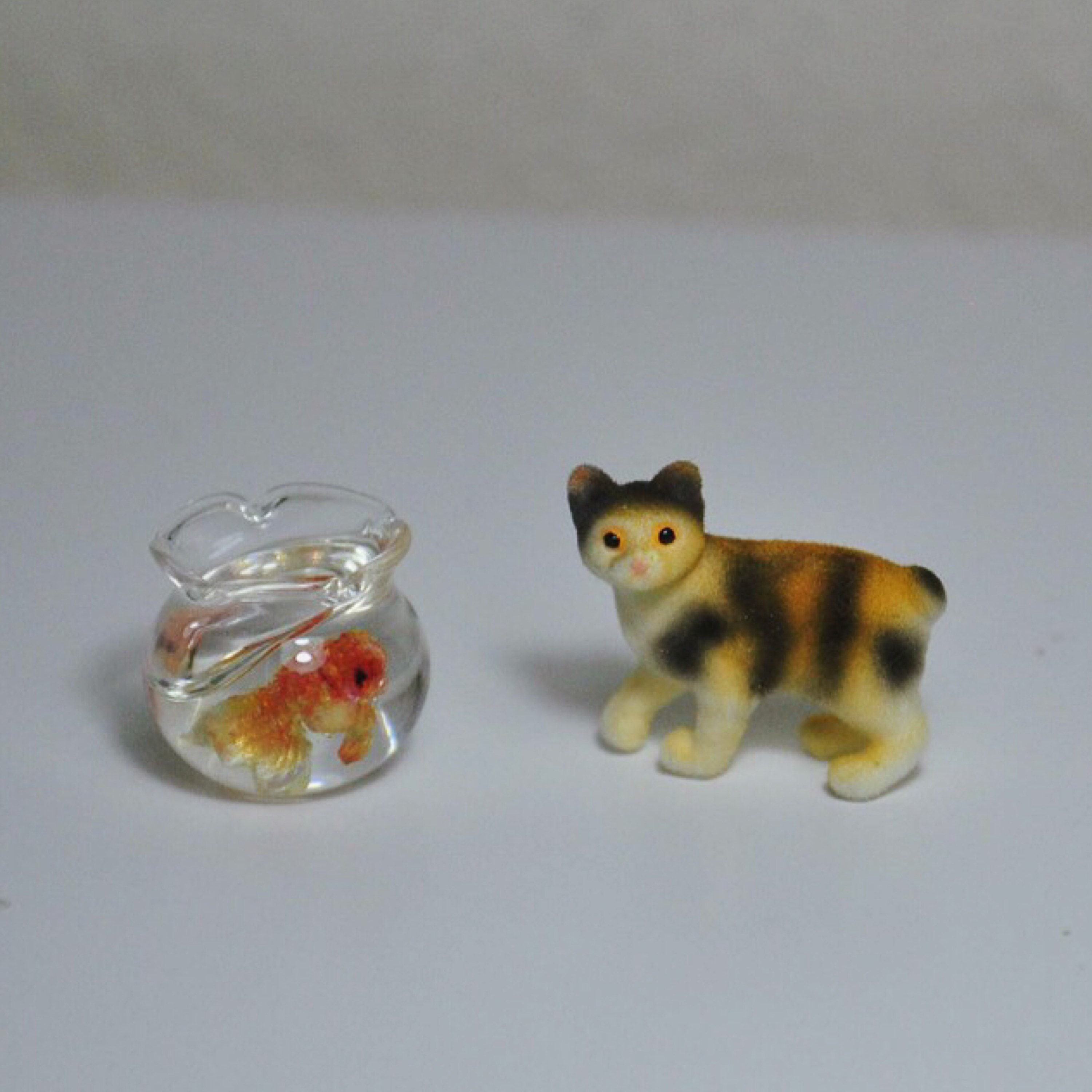 Miniature goldfish bowl with little cat Etsy