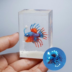 水槽の中の暗闇で光るミニチュアアンコウ