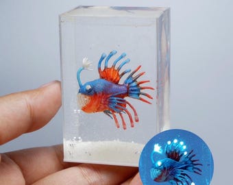Glow in the dark miniature angler fish in the tank