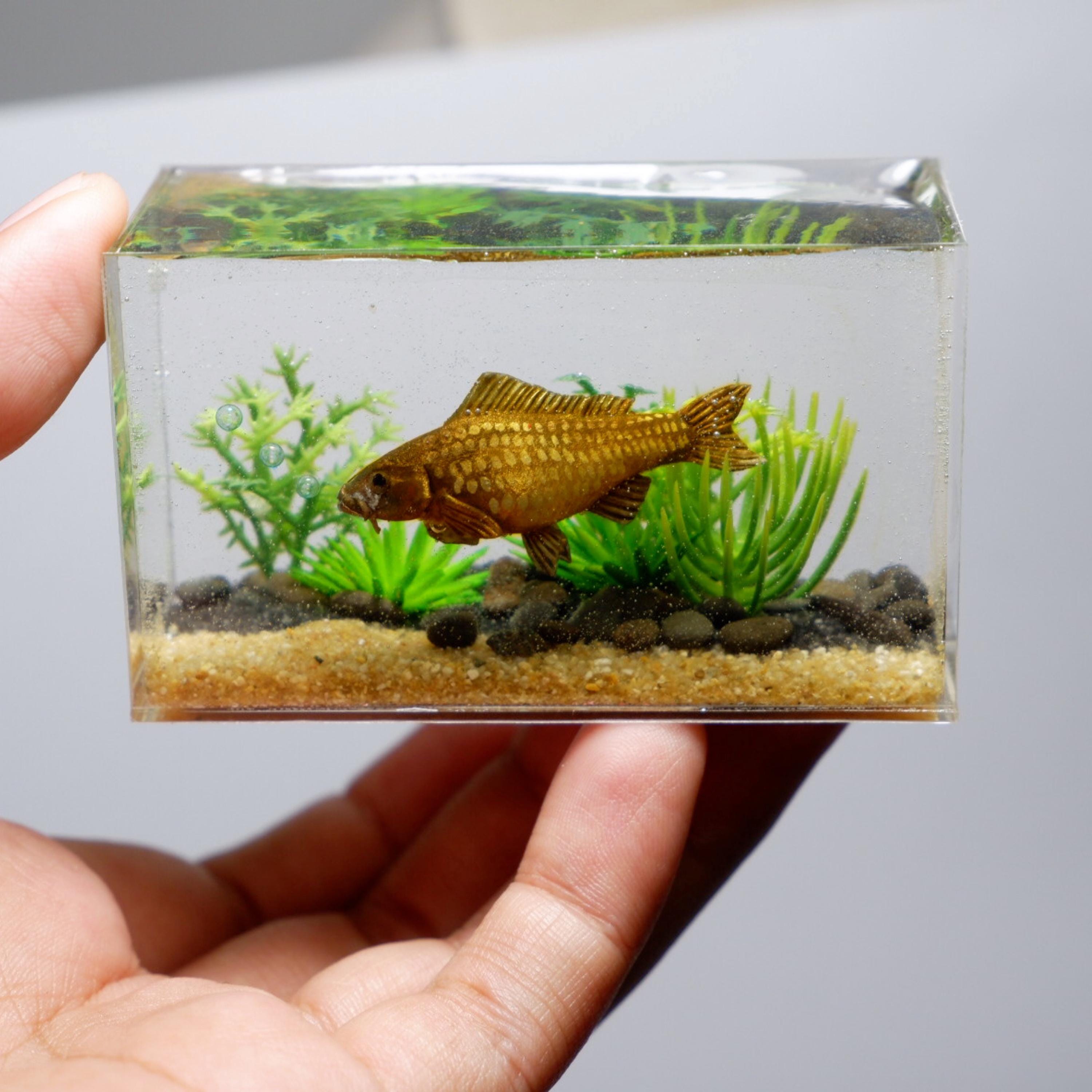 水槽の中のミニチュアレプリカキングカープ - Etsy 日本