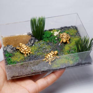 Miniature clay tortoise tank