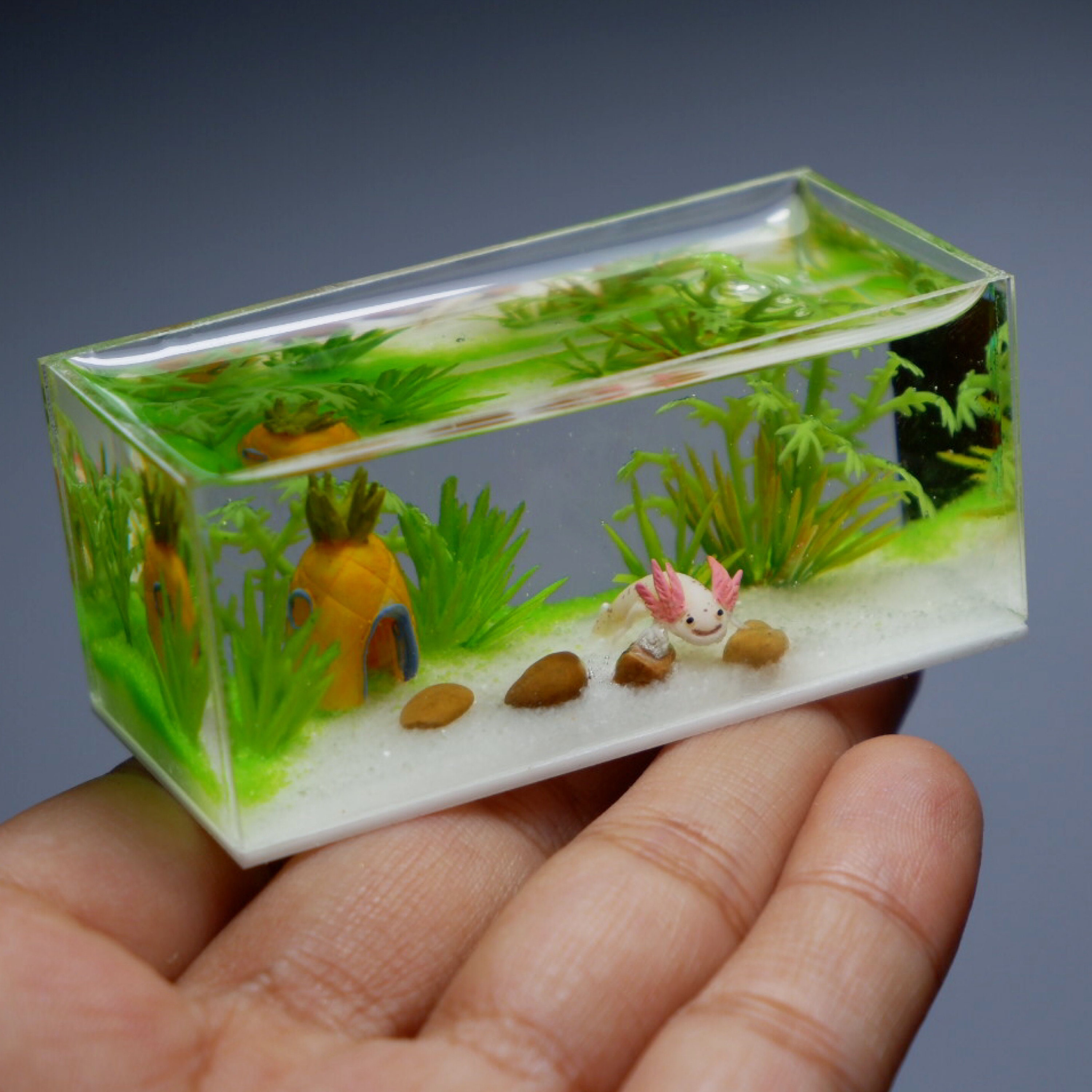 Tiny sales tanks aquarium