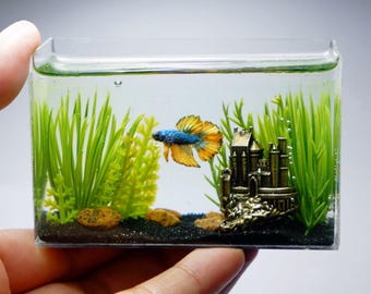 Betta miniatura con escuela Hogwarts de latón en el tanque.