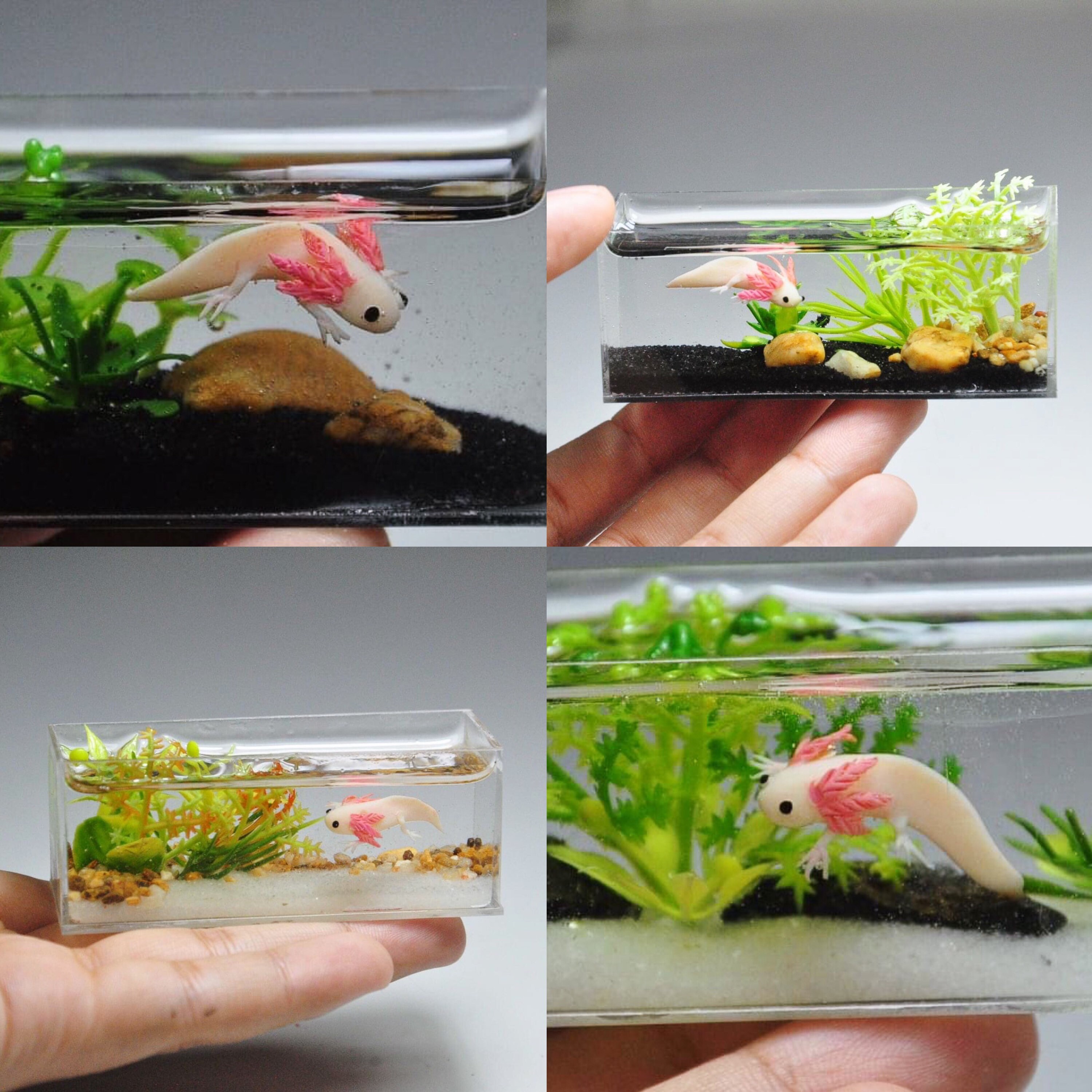 Miniature Axolotl in the tank Etsy