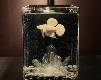 Réplica de acuario Betta blanco: pez de arcilla polimérica