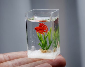 Miniature  betta tank