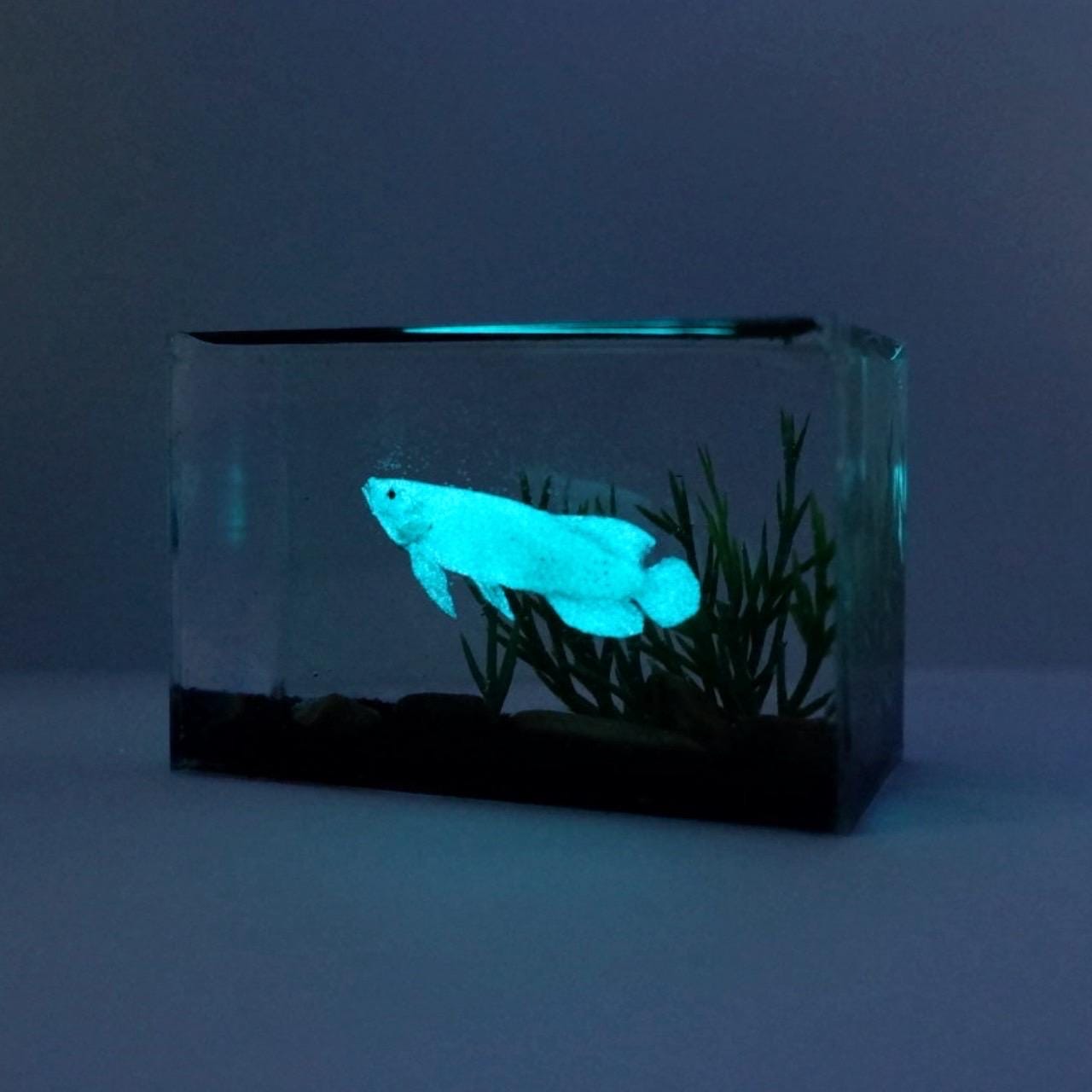 暗闇で光るミニチュアシルバーアロワナ水槽 - Etsy 日本