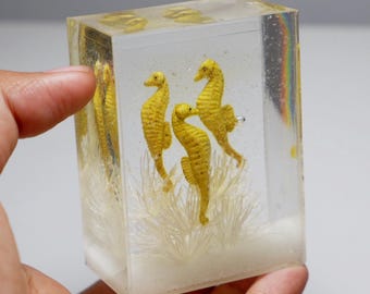Replica seahorse tank