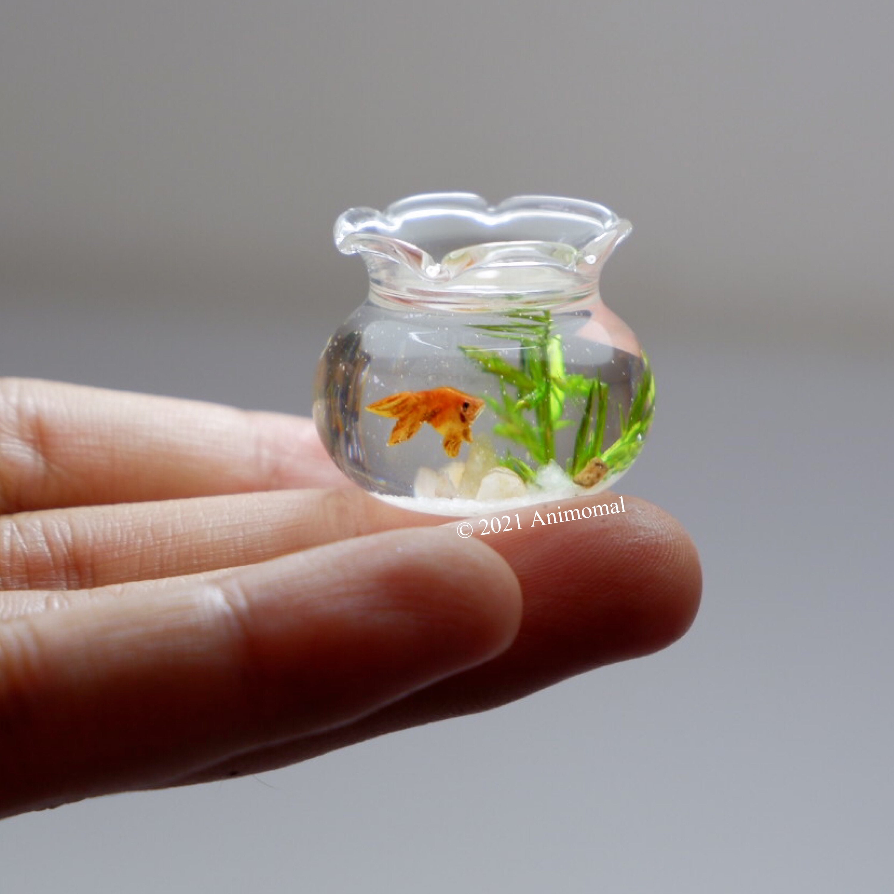 Miniature goldfish in the glass bowl Etsy