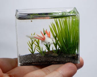 Miniature glow in the dark replica axolotl in the tank