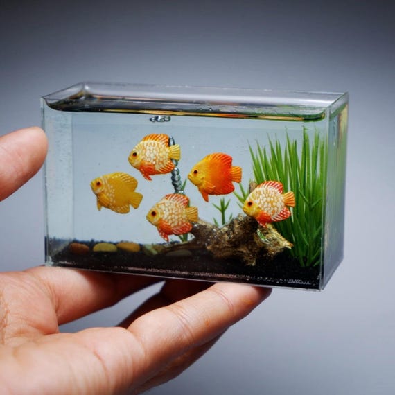 水槽の中のミニチュア粘土ディスカス - Etsy 日本