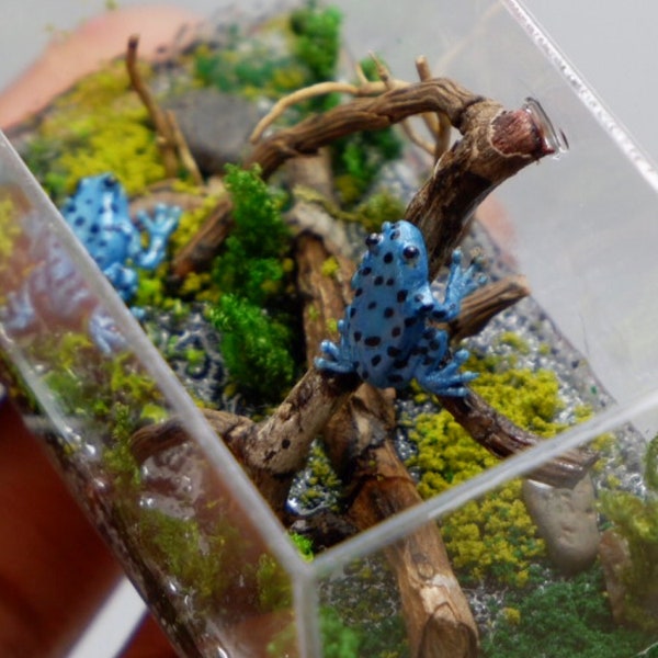 Miniatuur pijlgifkikker in terrarium