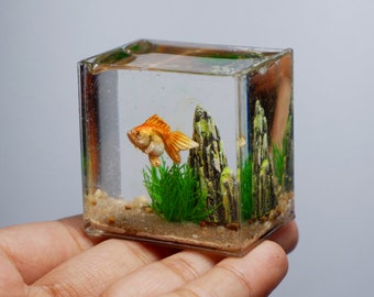 A1 - Figurine de poisson rouge en forme d'oeil de bulle