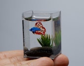 Item uit deze shop