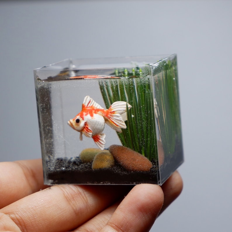 Miniature Clay Goldfish in the Tank - Etsy - Goldfish Mini Tank Advantages