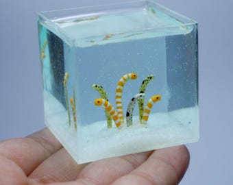 Miniature garden eels
