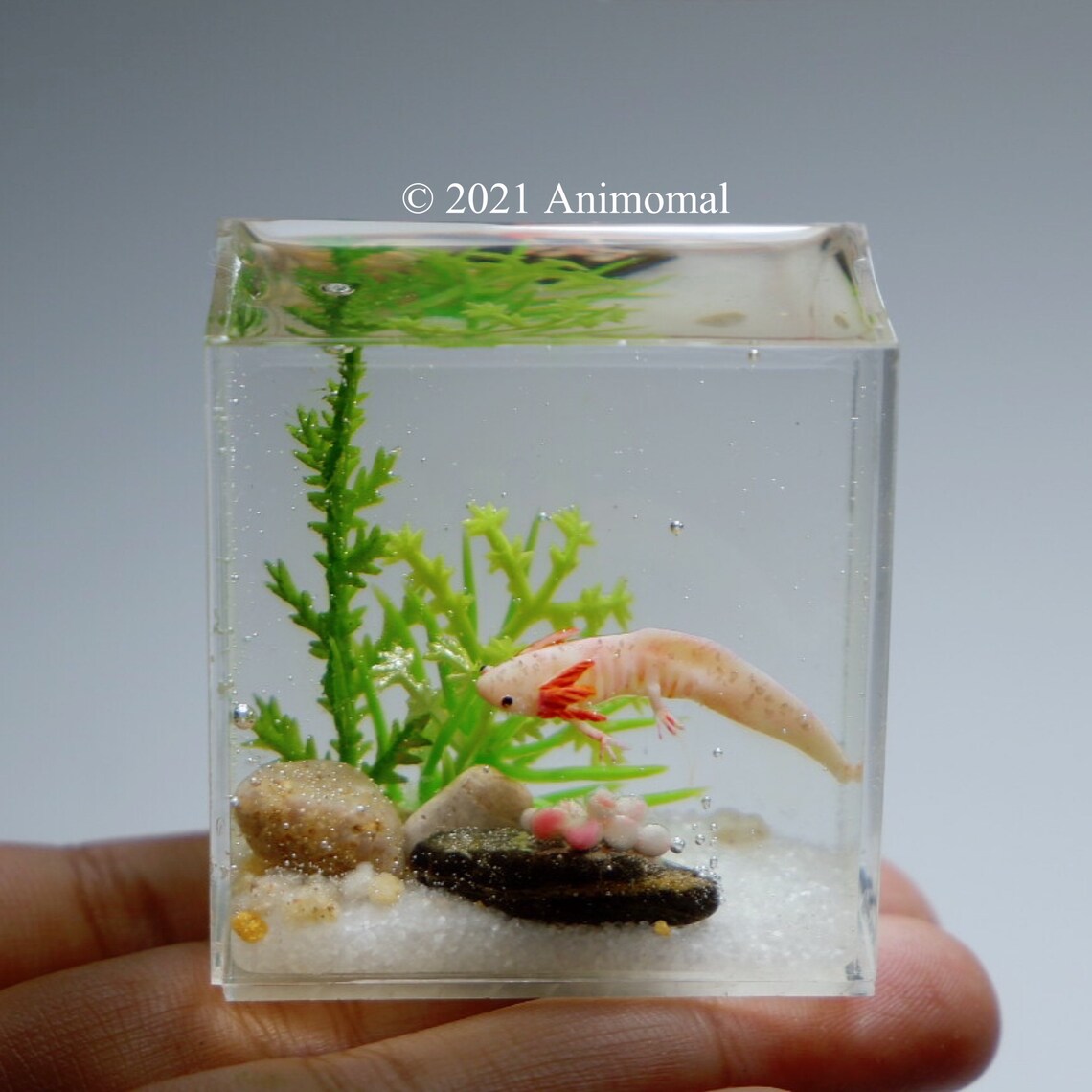 Miniature Axolotl with her eggs Etsy
