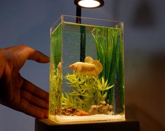 Replica Golden Betta Tank: Polymer Clay Fish