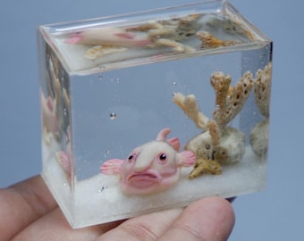 Miniatura de acuario de pez borrón de arcilla polimérica, diorama de pecera marina, decoración para casa de muñecas