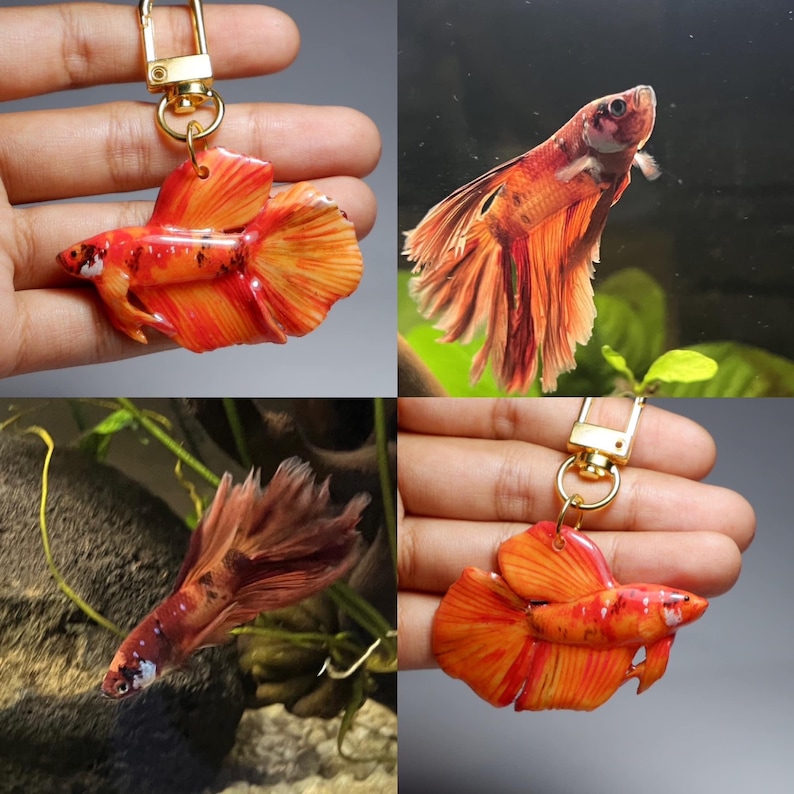 May include: A set of three orange and red betta fish keychains. The keychains are made of resin and feature realistic details. The fish are in different poses, with one swimming, one resting on a rock, and one with its fins spread out.