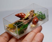 Item uit deze shop