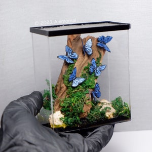 Miniature clay blue butterfly  in terrarium