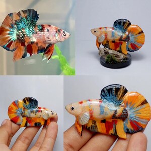 Custom Betta Fish Keychain, Polymer Clay Pet Memorial Charm, Personalized Aquarium Keepsake image 2