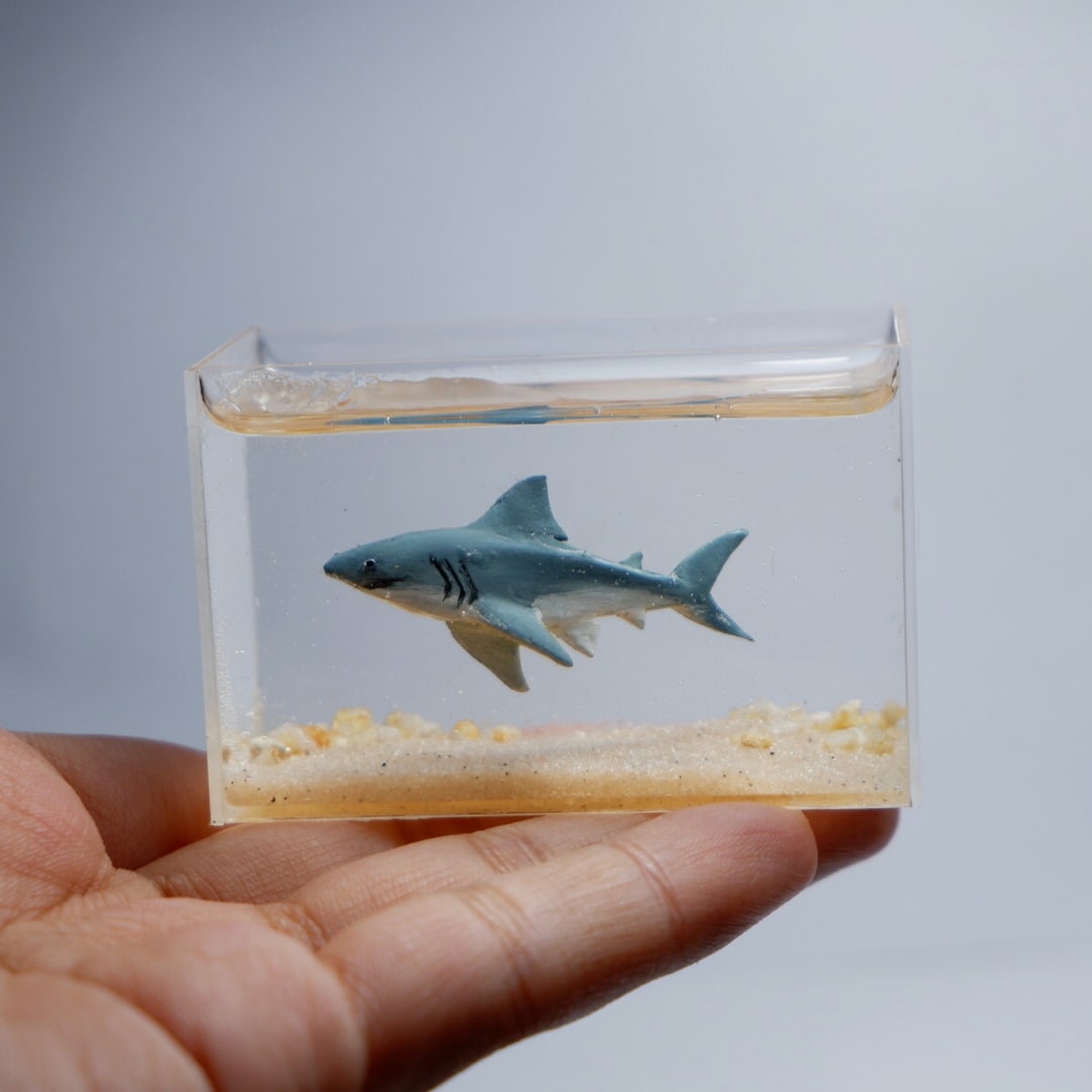 Shark Inn Tank Miniature Clay Shark in the Tank - Etsy