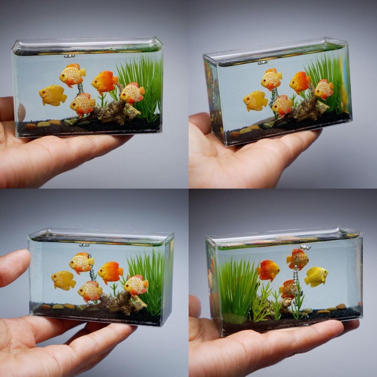 水槽の中のミニチュア粘土ディスカス - Etsy 日本