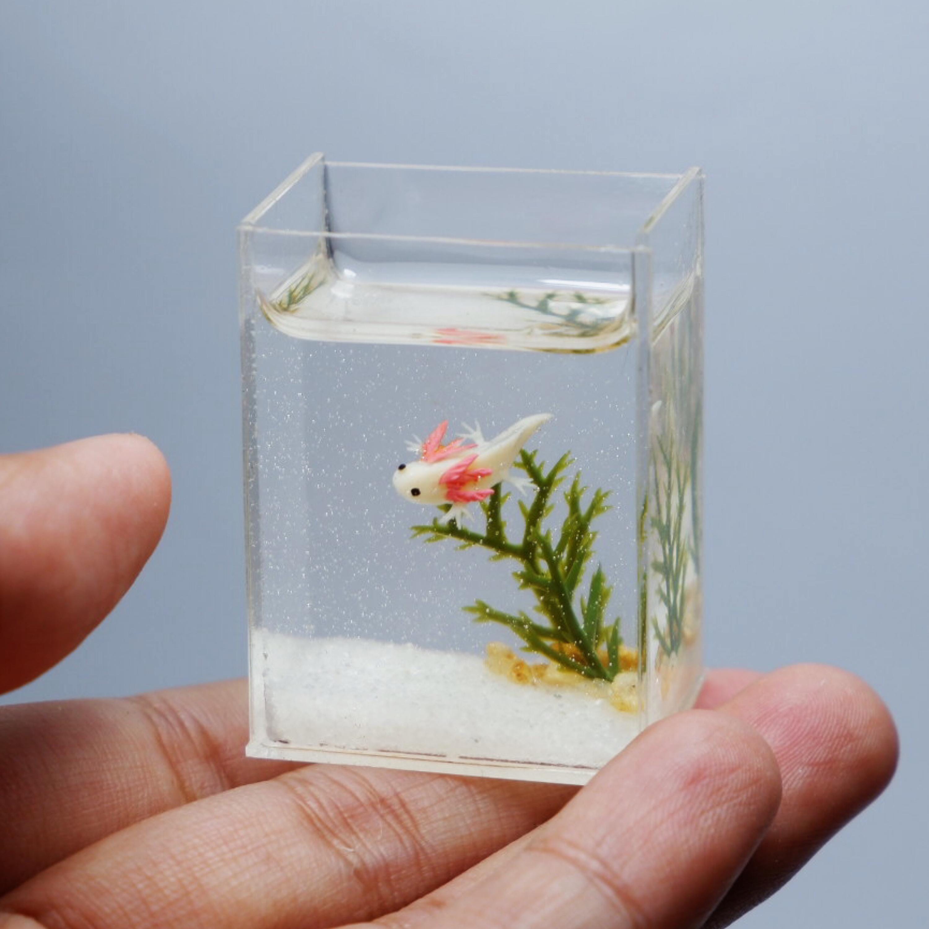 Fake fish tank - Etsy.de