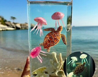 Réplica de tortuga marina que brilla en la oscuridad y medusa decorada con perla real en el tanque.