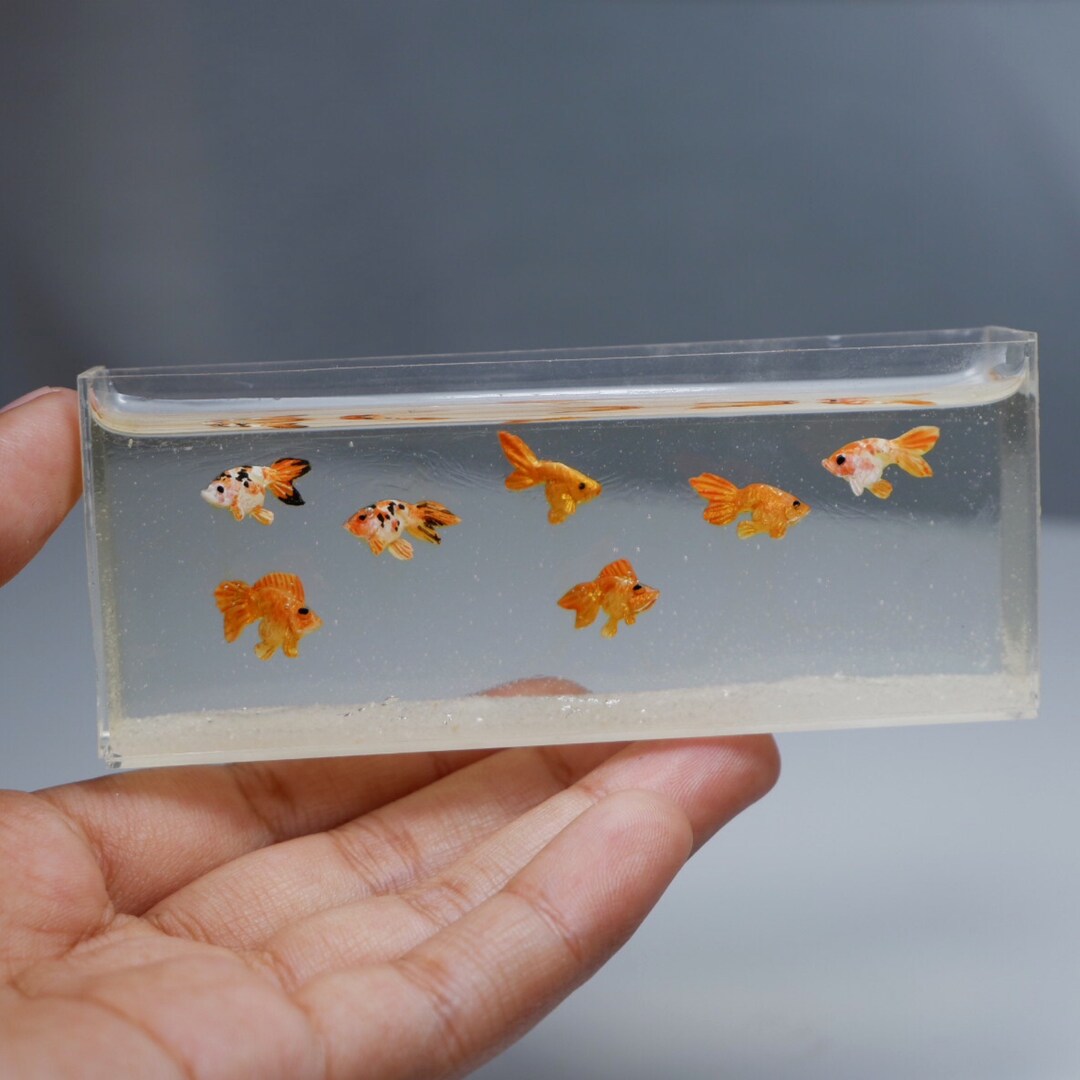 Image showcasing Miniature Goldfish Tank - Etsy