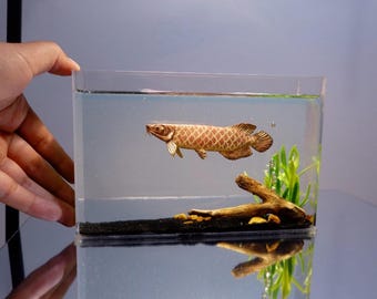 Replica clay golden arowana tank