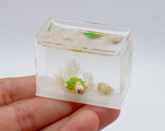 Miniature clay leaf sheep (sea slug) in the tank
