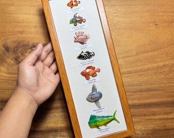 本物のミノカサゴの骨格、デンドロキルス、魚の剥製、クイーンチェスの