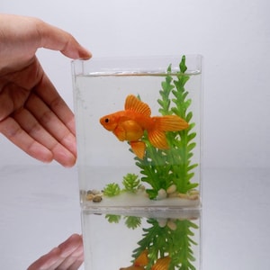 Replica goldfish tank, aquarium , freshwater fish , life-sized tank