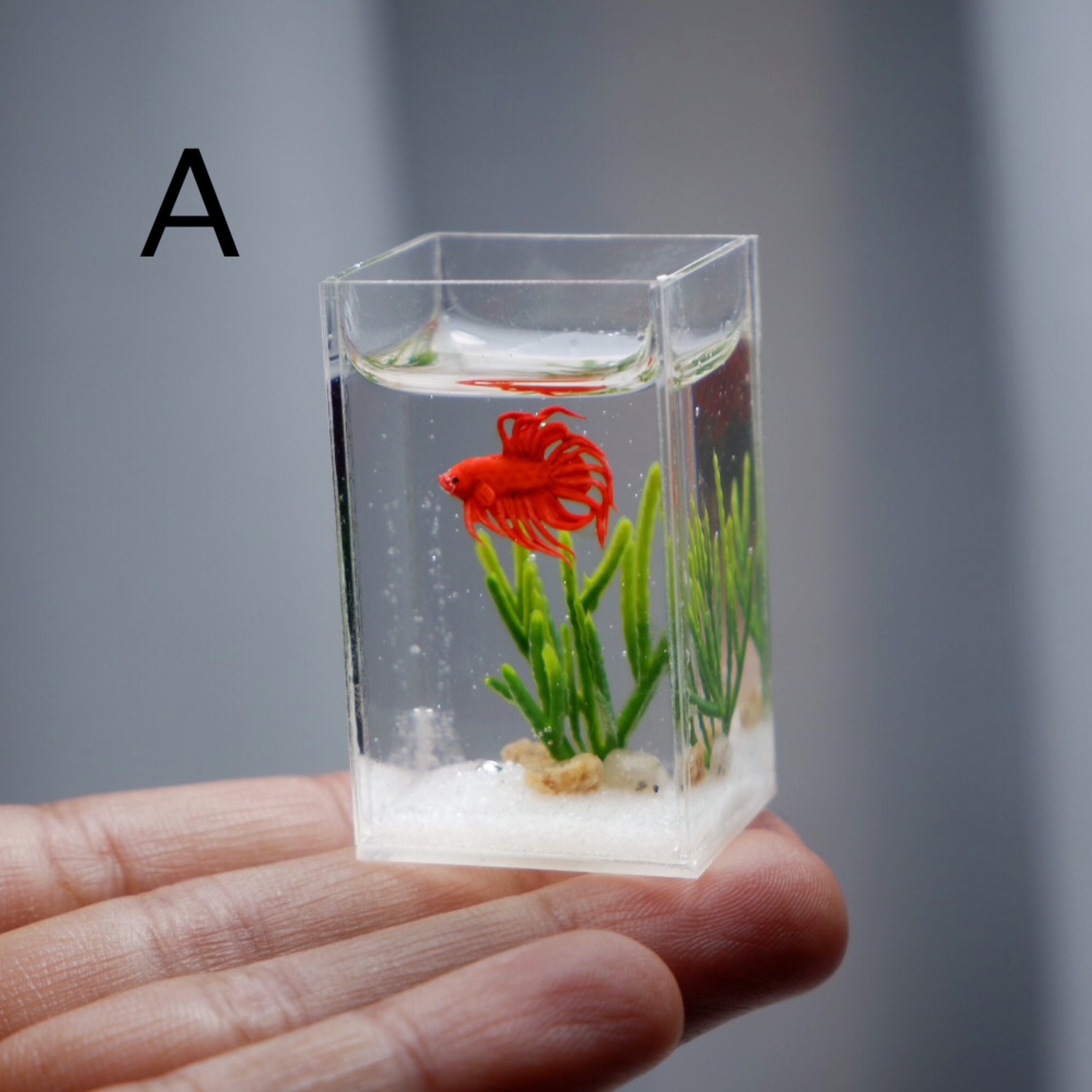 Miniature Betta Tank Etsy