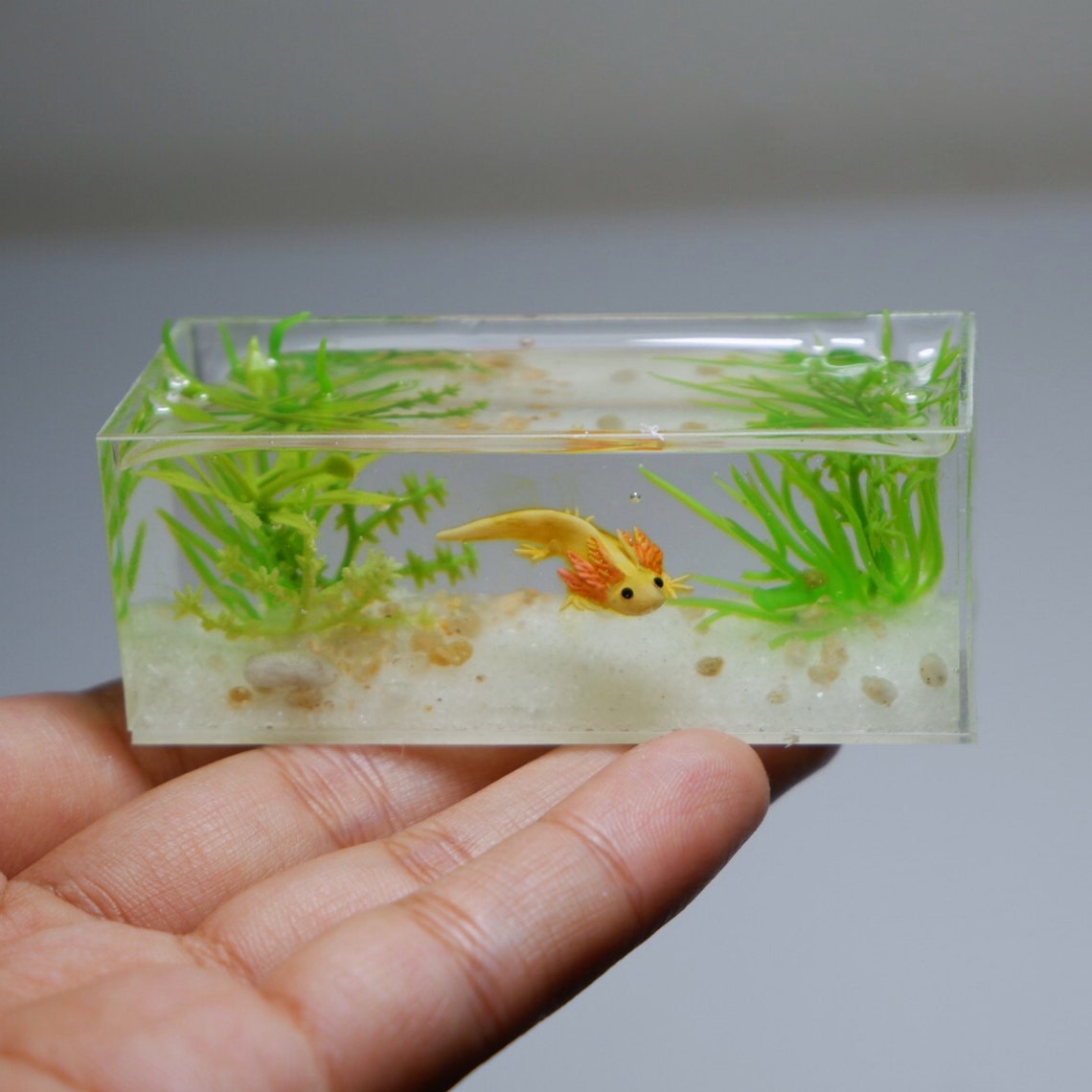 Miniature axolotl in the tank Etsy