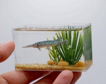 Miniature replica alligator gar in the tank